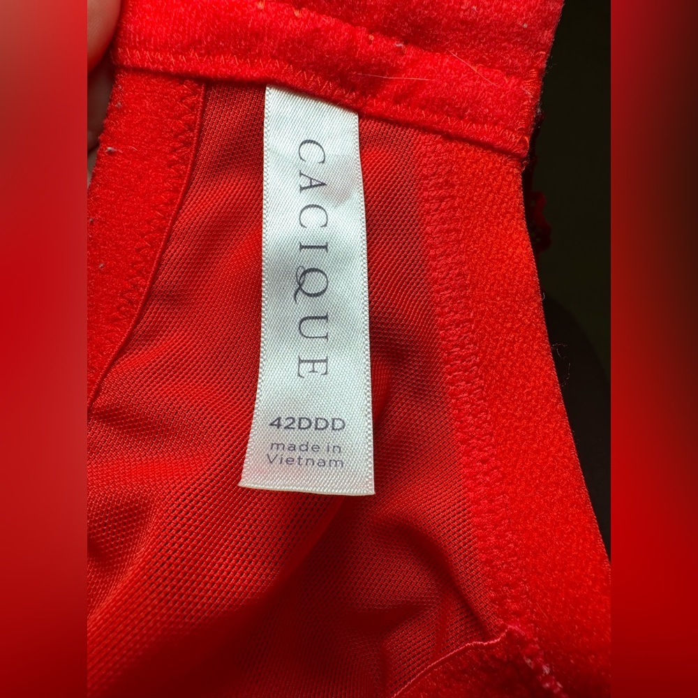 Cacique Layne Bryant red lace bra lightly lined balconette 42DDD sexy curvy cute - Picture 6 of 8